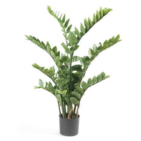 Emerald Artificial Zamioculcas Green 11.662C