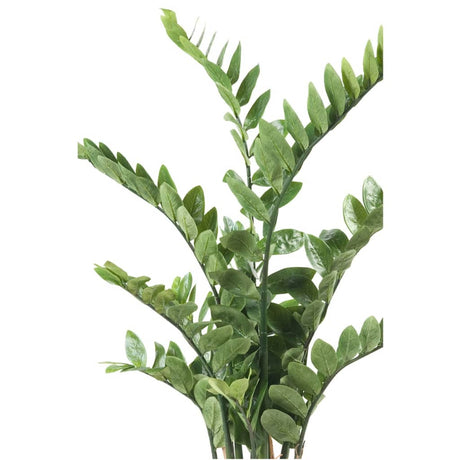 Emerald Artificial Zamioculcas Green 11.662C