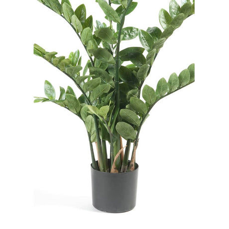 Emerald Artificial Zamioculcas Green 11.662C