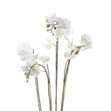 Emerald Artificial Phalaenopsis With Moss White 90 Cm 20.355