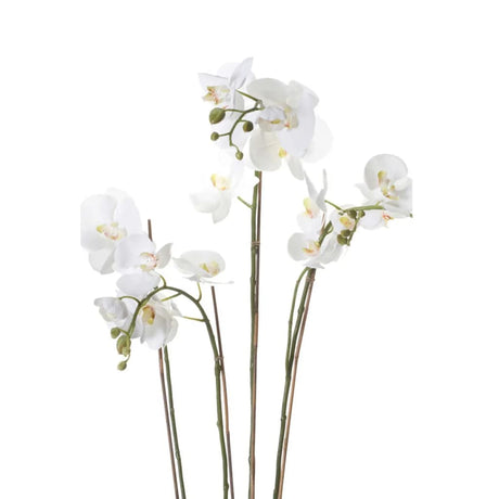 Emerald Artificial Phalaenopsis With Moss White 90 Cm 20.355