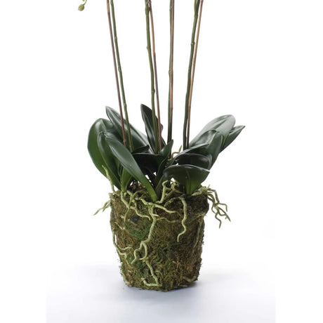 Emerald Artificial Phalaenopsis With Moss White 90 Cm 20.355