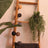 Emerald Artificial Hanging Bush In Pot 50 Cm