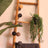 Emerald Artificial Hanging Bush In Pot 50 Cm