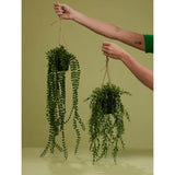 Emerald Artificial Ficus Pumila Hanging Bush In Pot 60 Cm