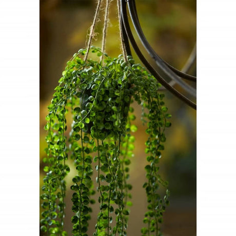 Emerald Artificial Ficus Pumila Hanging Bush In Pot 60 Cm