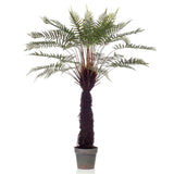 Emerald Artificial Fern Dicksonia Tree 125 Cm In Pot