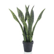 Emerald Artificial Sansevieria 55 Cm In Pot