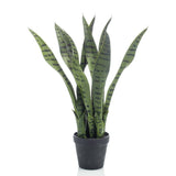 Emerald Artificial Sansevieria 55 Cm In Pot