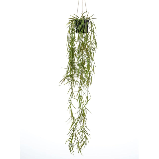 Emerald Artificial Hoya Hanging Bush 80 Cm In Pot