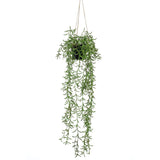 Emerald Artificial Senecio Hanging Bush In Pot 70 Cm