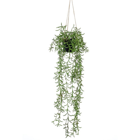 Emerald Artificial Senecio Hanging Bush In Pot 70 Cm