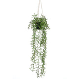 Emerald Artificial Senecio Hanging Bush In Pot 70 Cm
