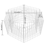 Hexagonal Gabion Raised Bed