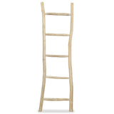 Towel Ladder With 5 Rungs Teak 45X150 Cm Natural