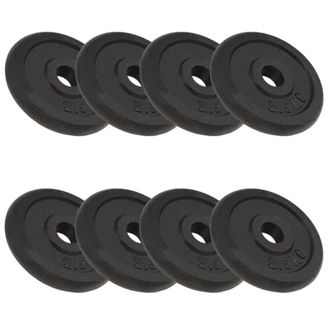 Weight Plates 8 Pcs Cast Iron