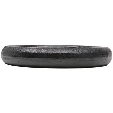 Weight Plates 8 Pcs Cast Iron