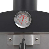 Charcoal Fired Outdoor Pizza Oven With Fireclay Stone