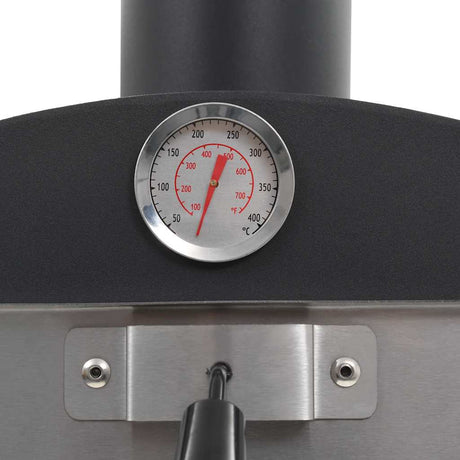 Charcoal Fired Outdoor Pizza Oven With Fireclay Stone