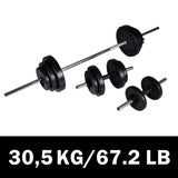 Barbell And Dumbbell With Plates
