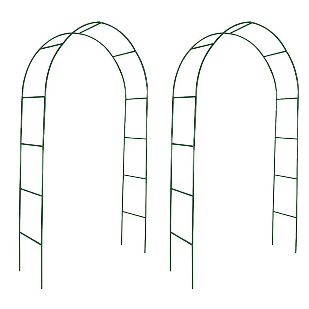 Garden Arch 2 Pcs Climbing Plants