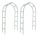 Garden Arch 2 Pcs Climbing Plants
