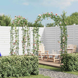 Garden Arch 2 Pcs Climbing Plants