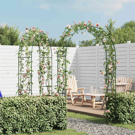 Garden Arch 2 Pcs Climbing Plants