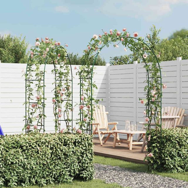 Garden Arch 2 Pcs Climbing Plants