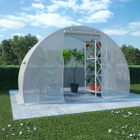 Greenhouse 36M²