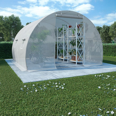Greenhouse 36M²