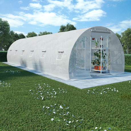 Greenhouse 36M²