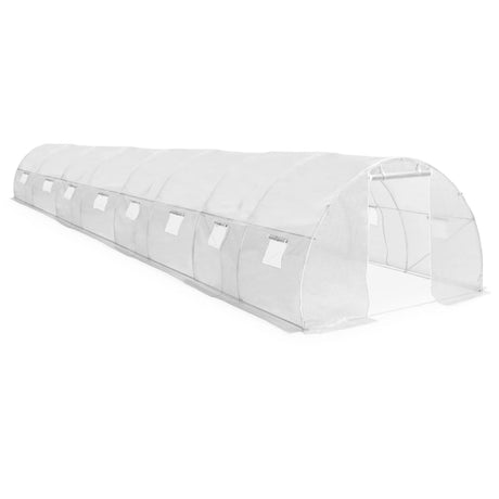 Greenhouse 36M²