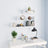 Wall Display Shelves 3 Pcs Engineered Wood