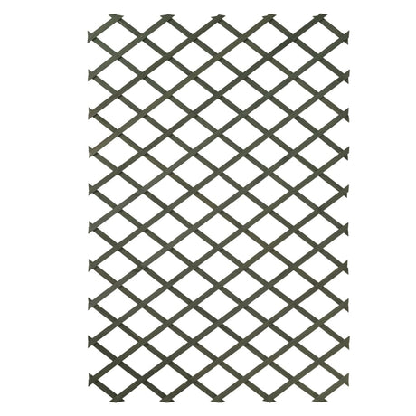Nature 2 Pcs Garden Trellises 100X200 Cm Wood Green