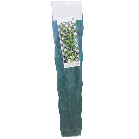 Nature 2 Pcs Garden Trellises 100X200 Cm Wood Green