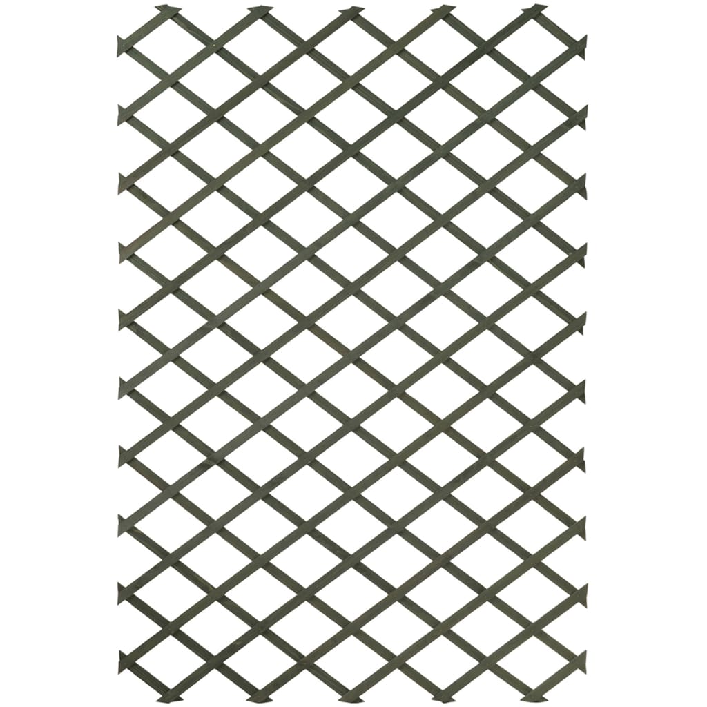 Nature 2 Pcs Garden Trellises Wood Green 50X150 Cm