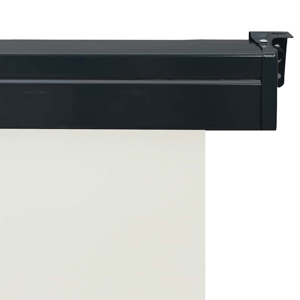 Balcony Side Awning 165x250 cm Cream