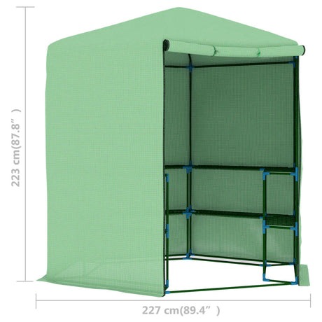 Greenhouse With Shelves Steel 227X223 Cm