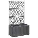 Trellis Raised Bed With 3 Pots Poly Rattan