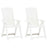 Garden Reclining Chairs 2 Pcs Plastic