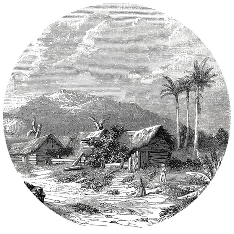 Wallart Wallpaper Circle Landscape Of Guadeloupe 190 Cm