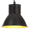 Hanging Lamp 25 W Round 17 Cm E27