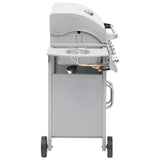 Gas Barbecue Grill 4+1 Cooking Zone Stainless Steel