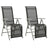 Reclining Garden Chairs 2 Pcs Textilene And Aluminium