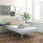 Bed Frame Without Mattress Metal