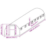 Greenhouse Replacement Cover (36 m²) 3x12x2 m Transparent