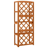 Trellis With Shelves 55X30X140 Cm Solid Fir Wood