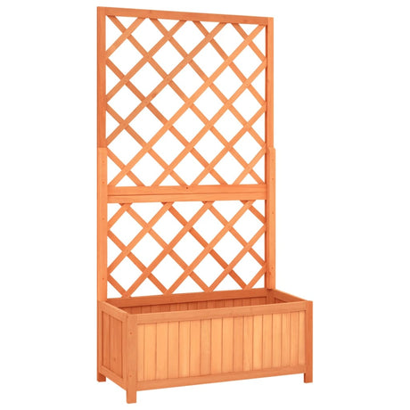 Trellis Planter