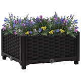Raised Bed Polypropylene